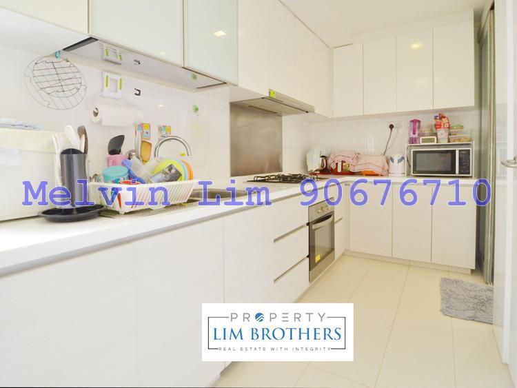 Oasis @ Elias (D18), Condominium #155608712